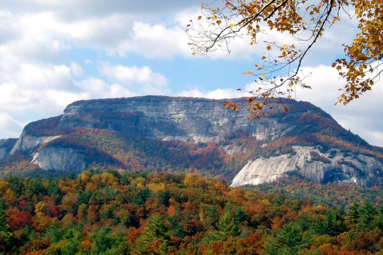 Heavenly Bearadise Cabin In Cashiers, Nc! Esterno foto